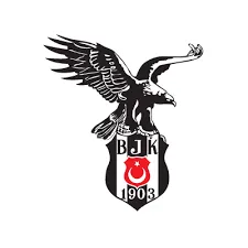 شرط بندی بشیکتاش